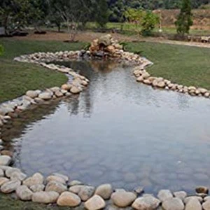 PONDS